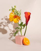 Bar Soap - Bergamot Neroli