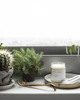 Fern + Moss Minimalist Candle Minimalist Brooklyn Candle Studio