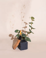 Bar Soap - Palo Santo