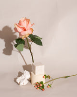 Bar Soap - Rosewater Cassis